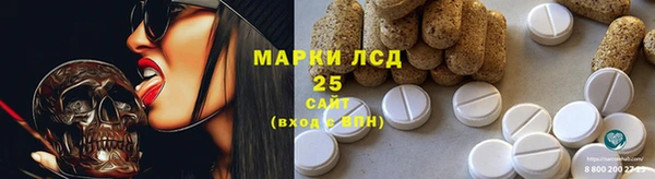 дживик Аркадак