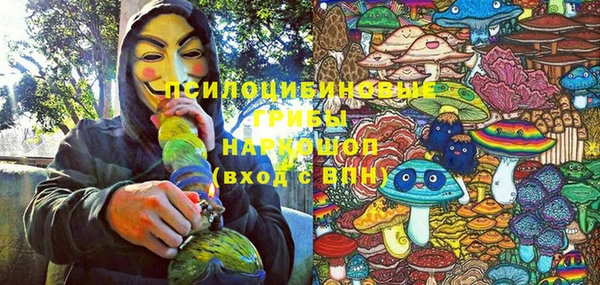 дживик Аркадак