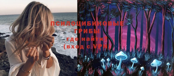 дживик Аркадак