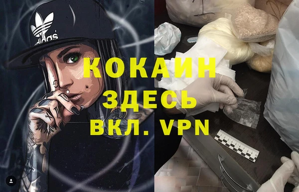 дживик Аркадак