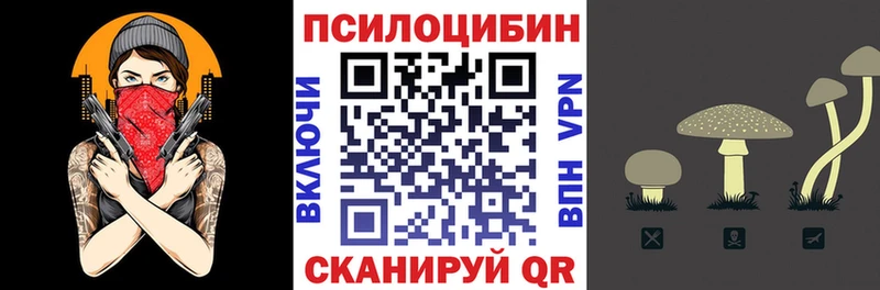 Псилоцибиновые грибы мицелий Тара
